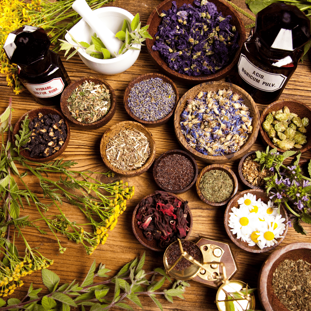 Herbal Remedies for Parasites